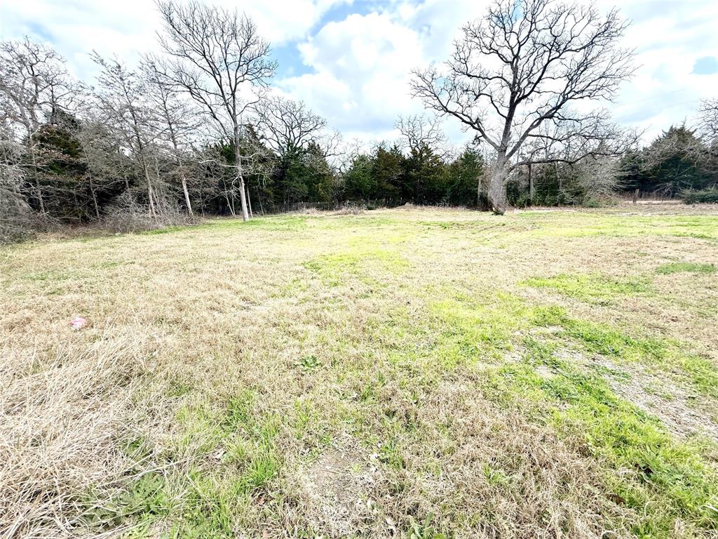 367 Blackberry Road, Somerville, Texas image 21