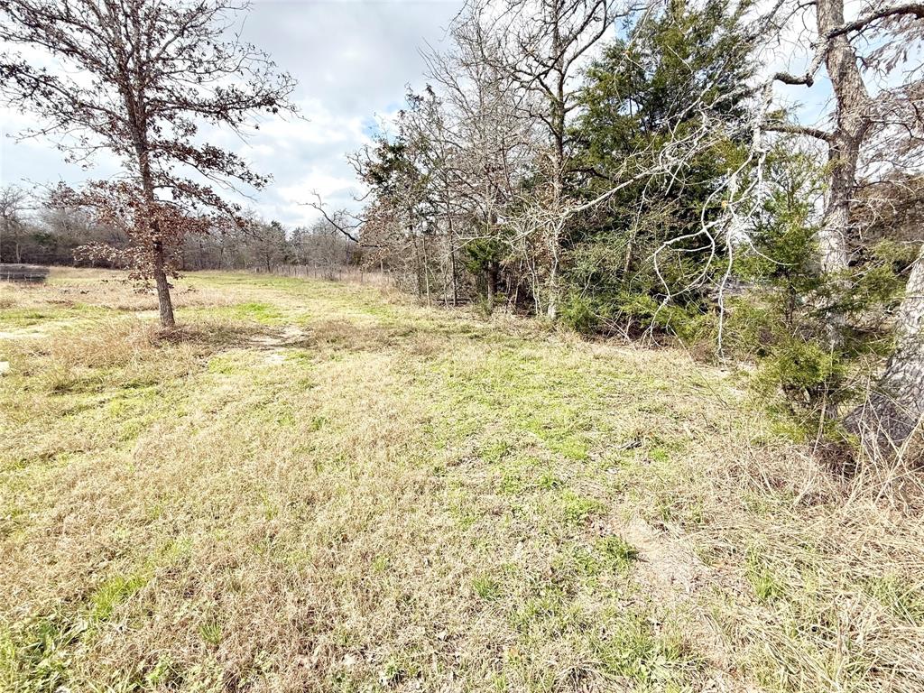 367 Blackberry Road, Somerville, Texas image 19