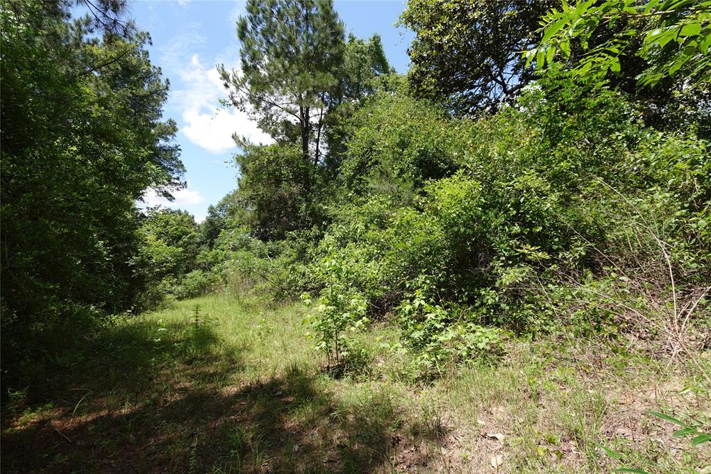 TBD 01 Road 2732, Cleveland, Texas image 5