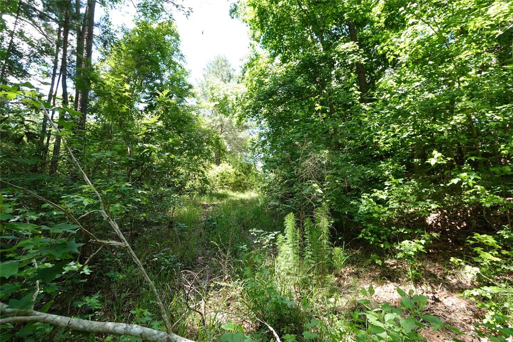 TBD 01 Road 2732, Cleveland, Texas image 4