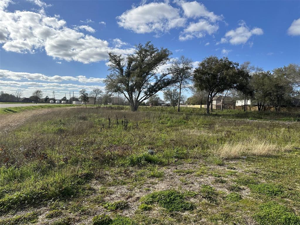 Sycanmore Rd, Fresno, Texas image 2