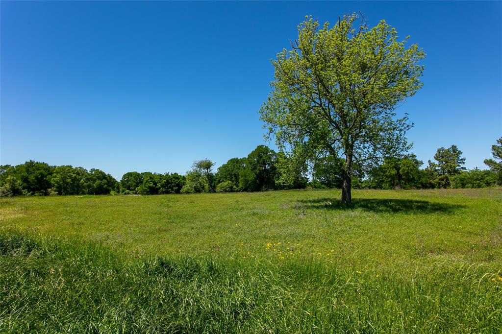 Lot 24 Brazos Court, Caldwell, Texas image 1