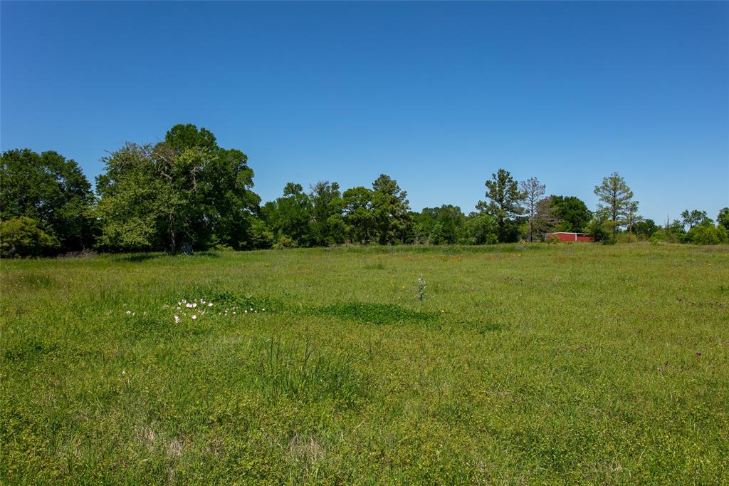 Lot 24 Brazos Court, Caldwell, Texas image 2