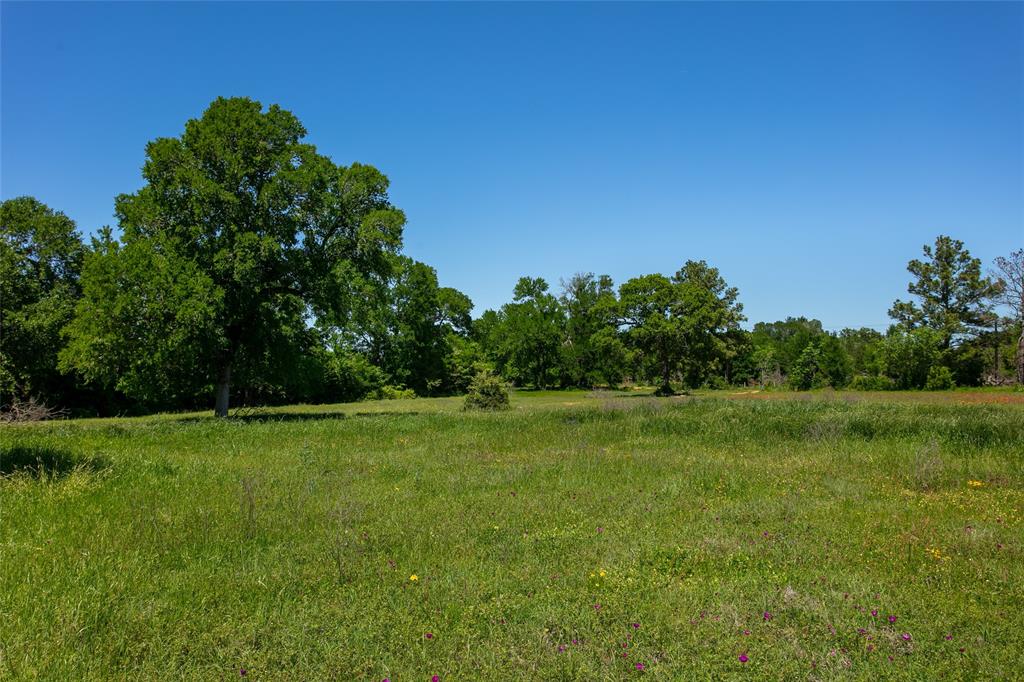 Lot 24 Brazos Court, Caldwell, Texas image 3