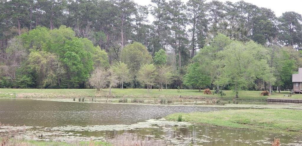 2 Wildwood Lake Drive, Huntsville, Texas image 6