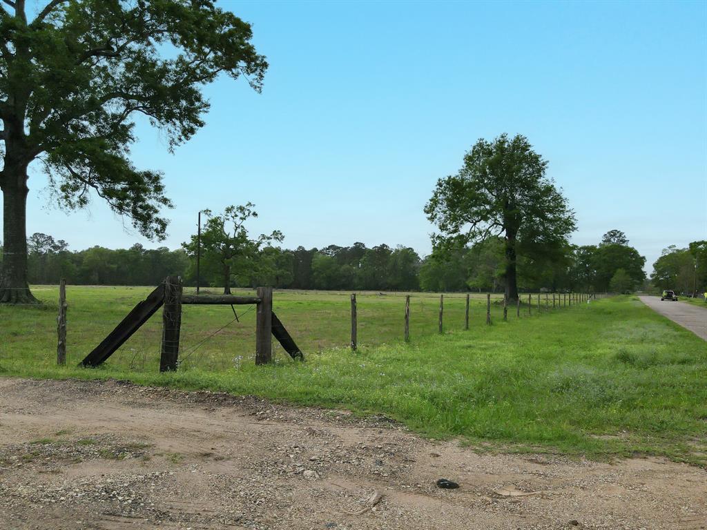 18206 Pickering Rd Rd, Conroe, Texas image 6