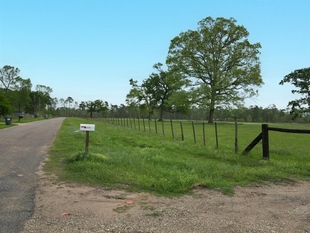 18206 Pickering Rd Rd, Conroe, Texas image 4