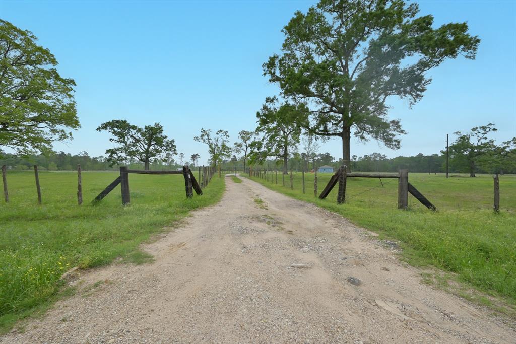 18206 Pickering Rd Rd, Conroe, Texas image 5