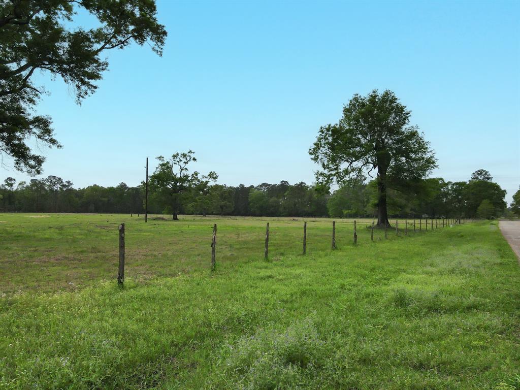 18206 Pickering Rd Rd, Conroe, Texas image 7
