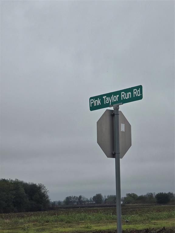 Pink Taylor Run Road, Kendleton, Texas image 7