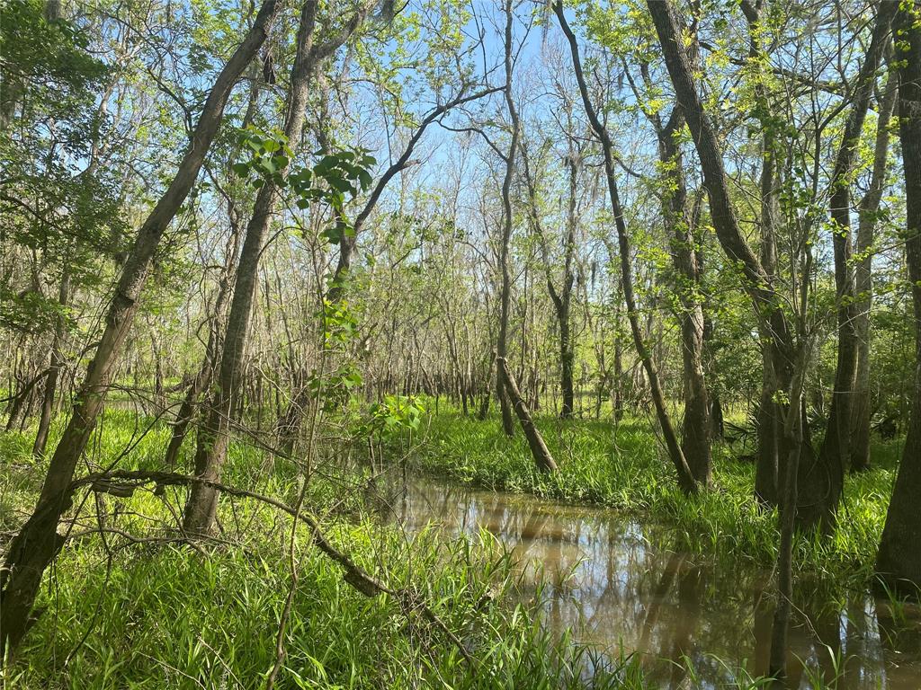 00 Fm 524, Sweeny, Texas image 36