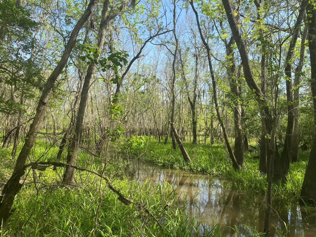 00 Fm 524, Sweeny, Texas image 35