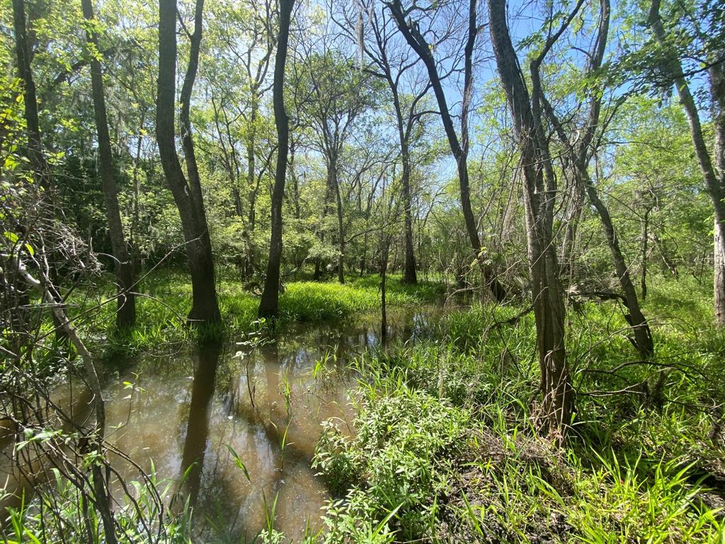 00 Fm 524, Sweeny, Texas image 41