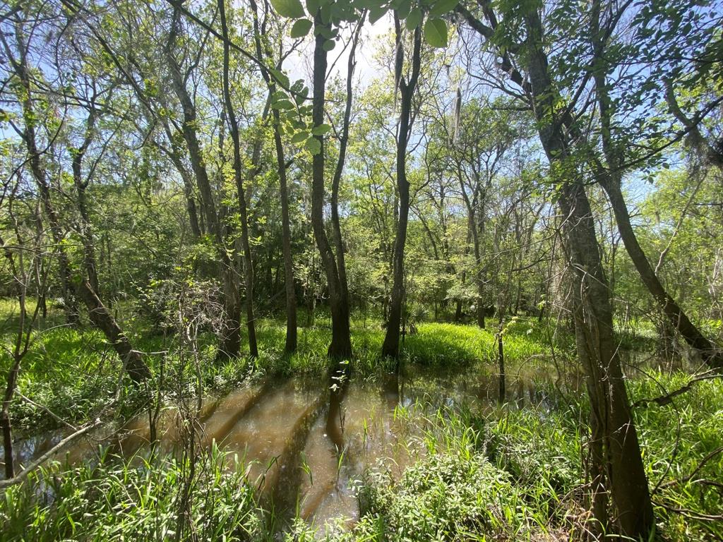 00 Fm 524, Sweeny, Texas image 39