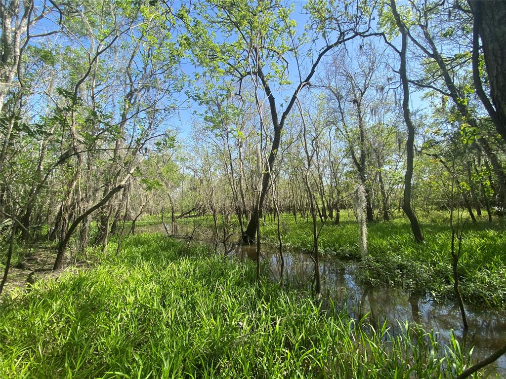 00 Fm 524, Sweeny, Texas image 43