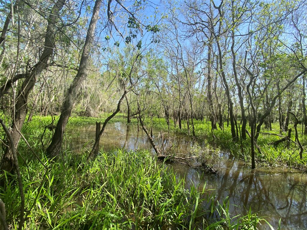 00 Fm 524, Sweeny, Texas image 48