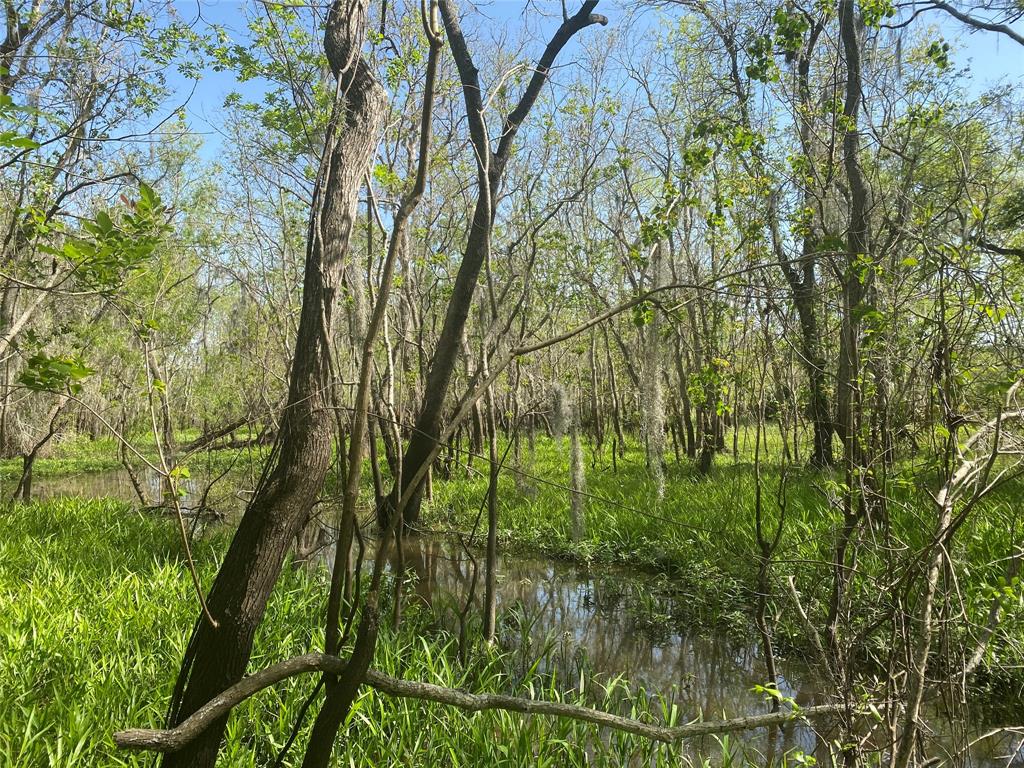 00 Fm 524, Sweeny, Texas image 38