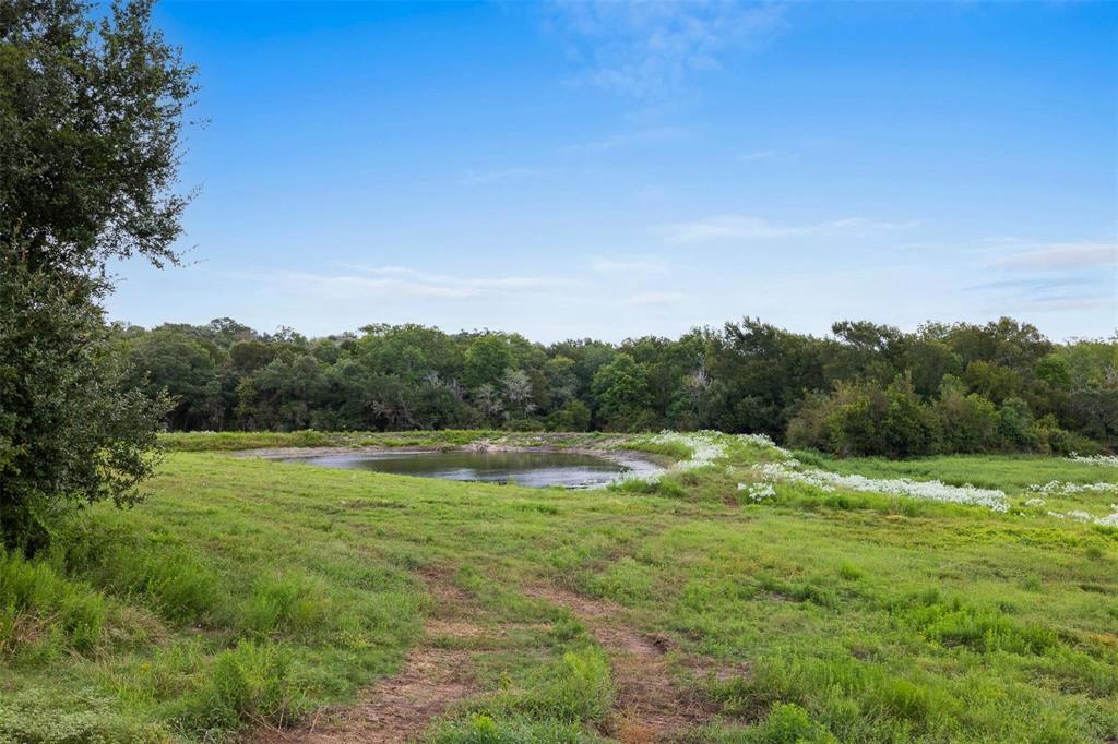 TBD Drake Lane-lot 13, Round Top, Texas image 3