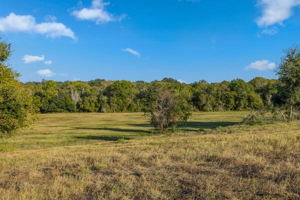 TBD Drake Lane-lot 13, Round Top, Texas image 4