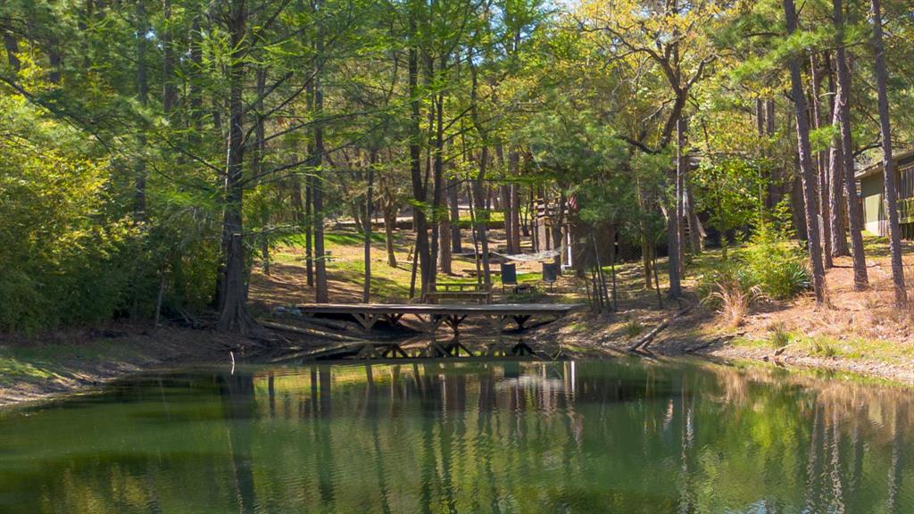 104 Broken Bow, La Grange, Texas image 2