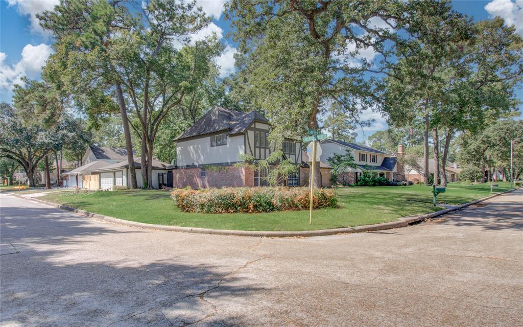 11703 Laneview Drive, Houston, Texas image 3
