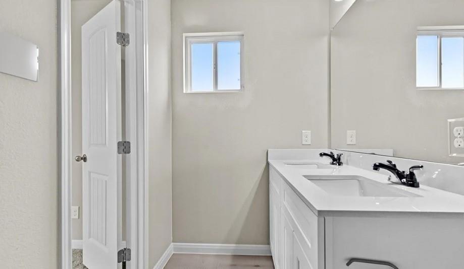 13202 Hayden Peak Drive, Iowa Colony, Texas image 16
