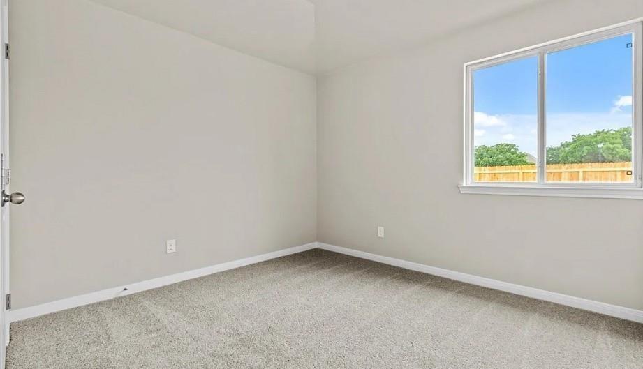 13202 Hayden Peak Drive, Iowa Colony, Texas image 13
