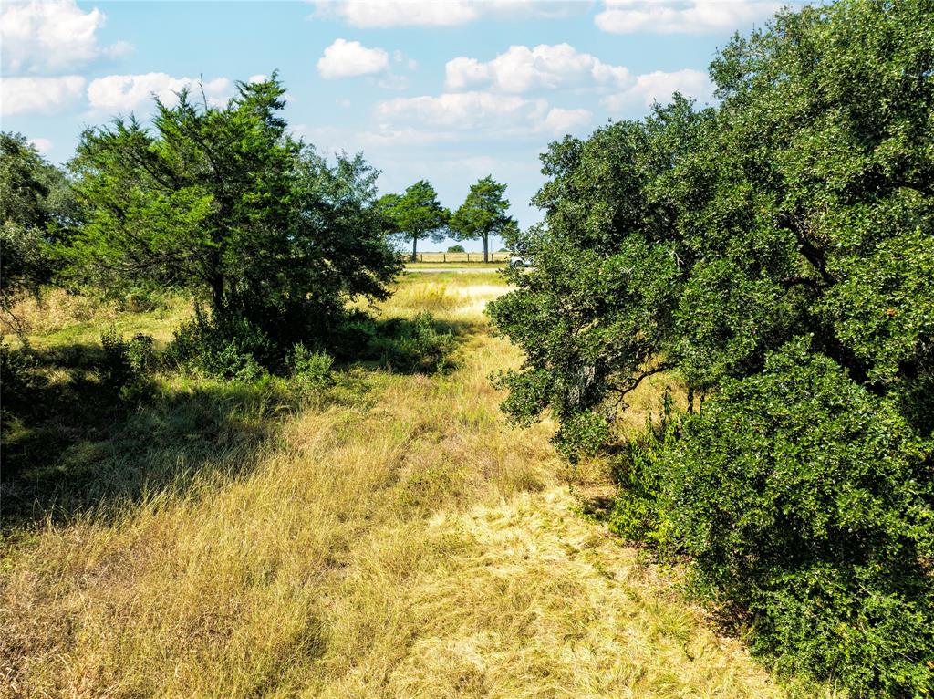 0000 Fm 2238, Schulenburg, Texas image 8