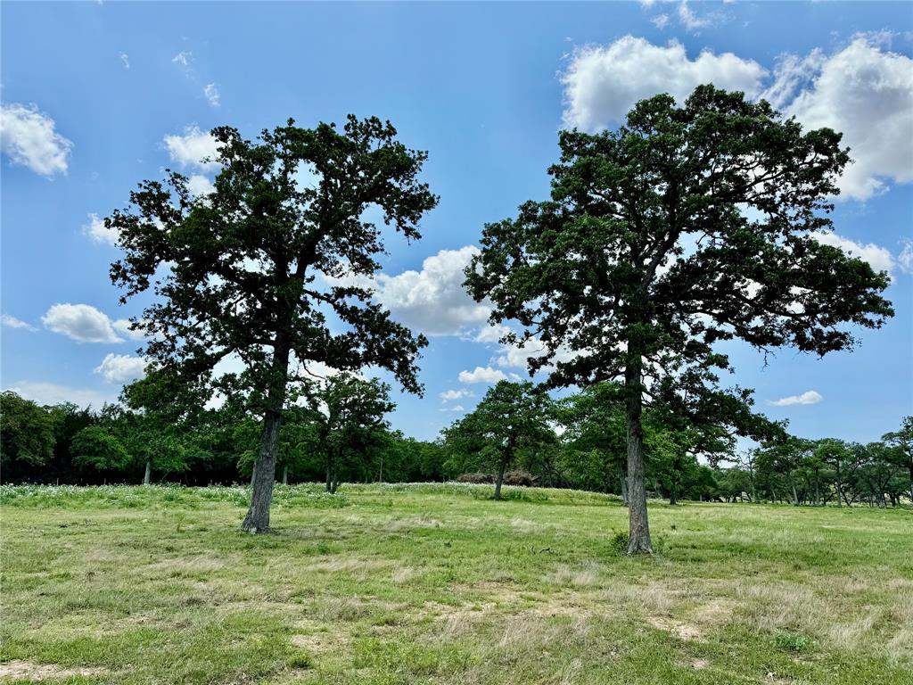 33.619 Acres Private Road 4007, Yoakum, Texas image 17