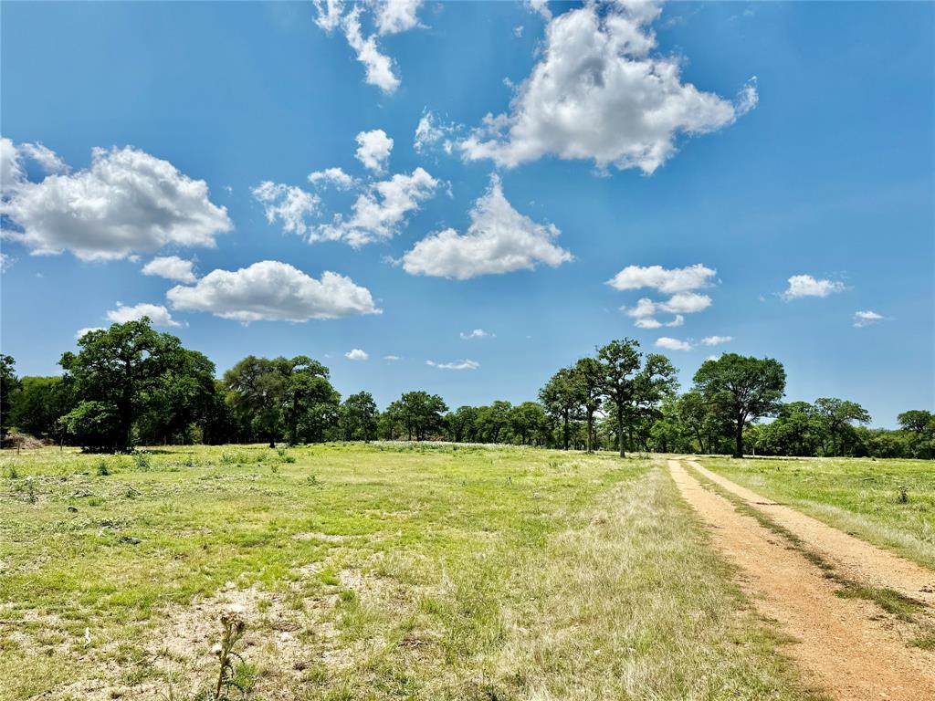 33.619 Acres Private Road 4007, Yoakum, Texas image 21