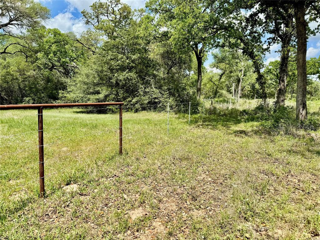 33.619 Acres Private Road 4007, Yoakum, Texas image 23