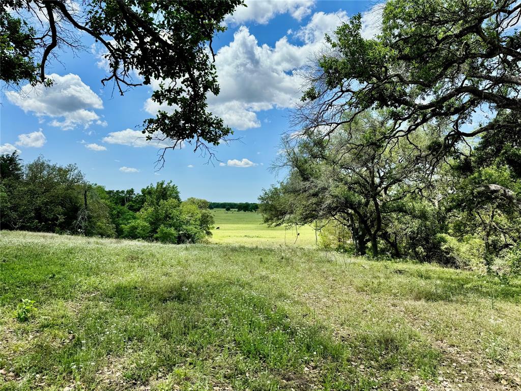 33.619 Acres Private Road 4007, Yoakum, Texas image 18