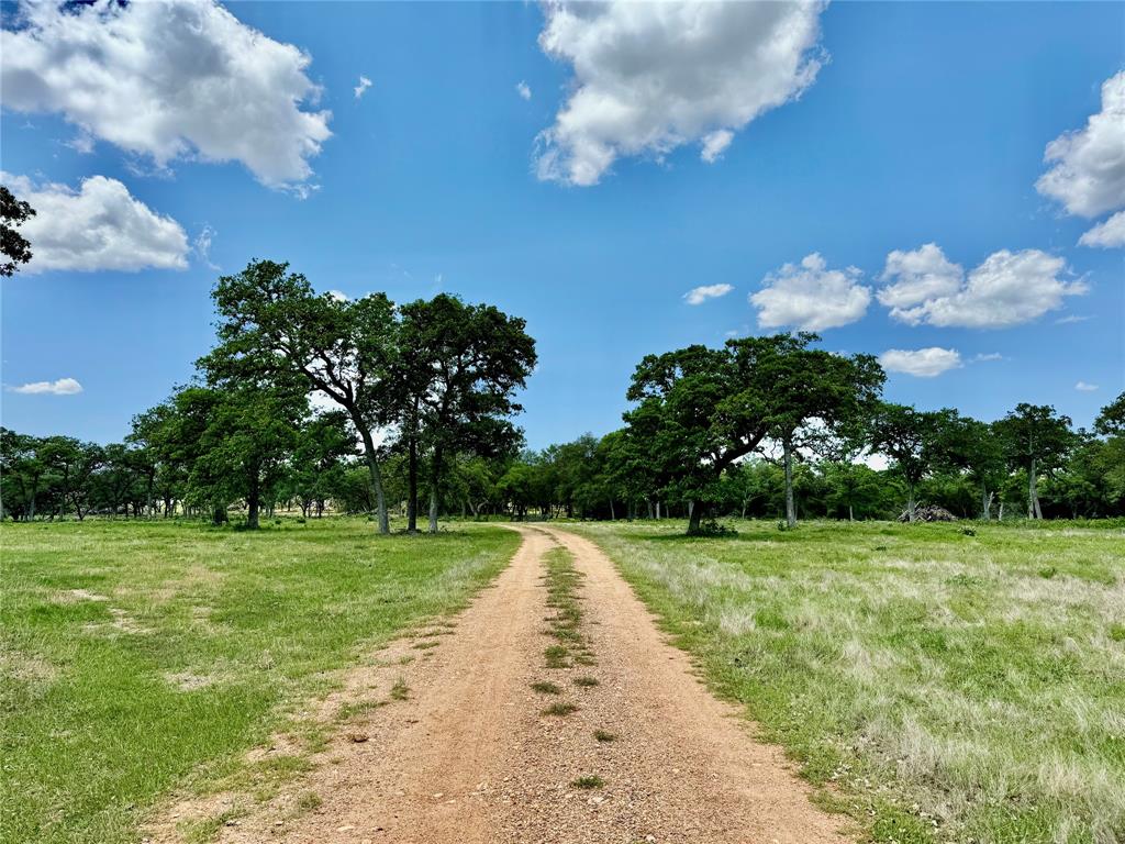 33.619 Acres Private Road 4007, Yoakum, Texas image 16
