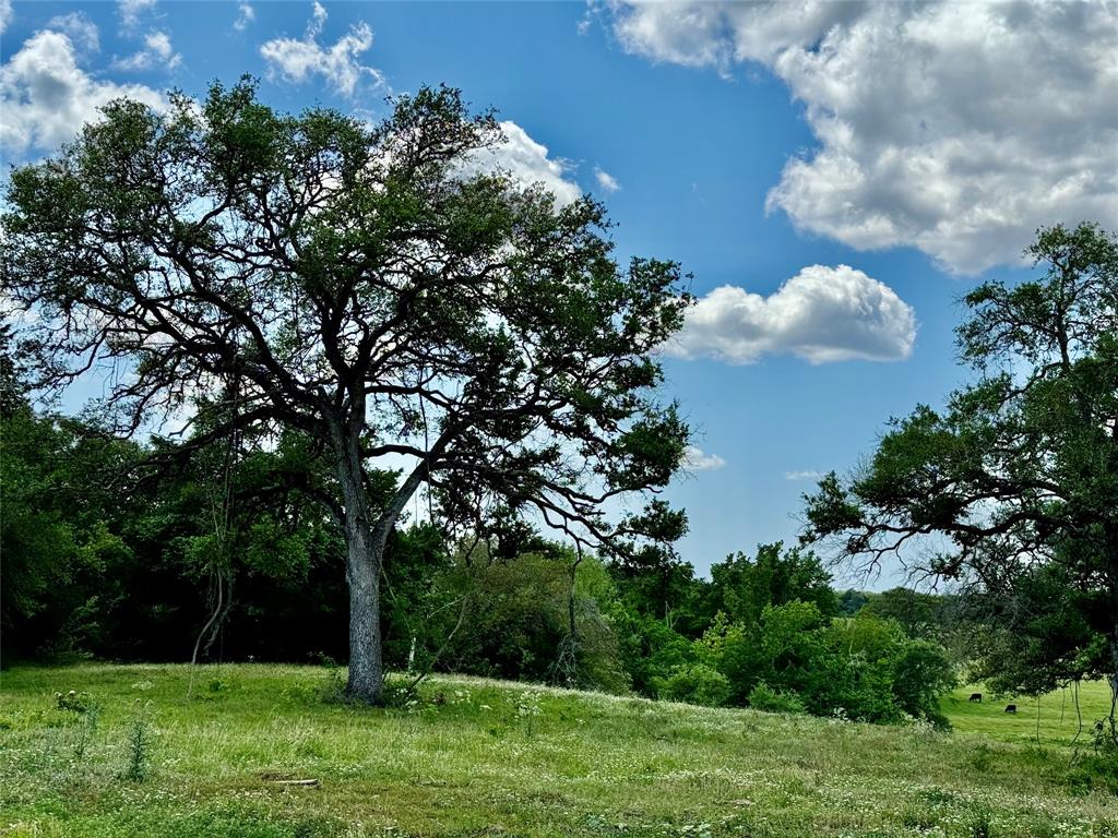 33.619 Acres Private Road 4007, Yoakum, Texas image 2