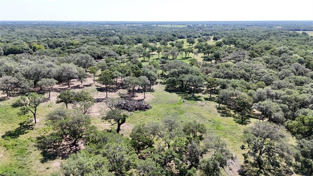 33.619 Acres Private Road 4007, Yoakum, Texas image 29