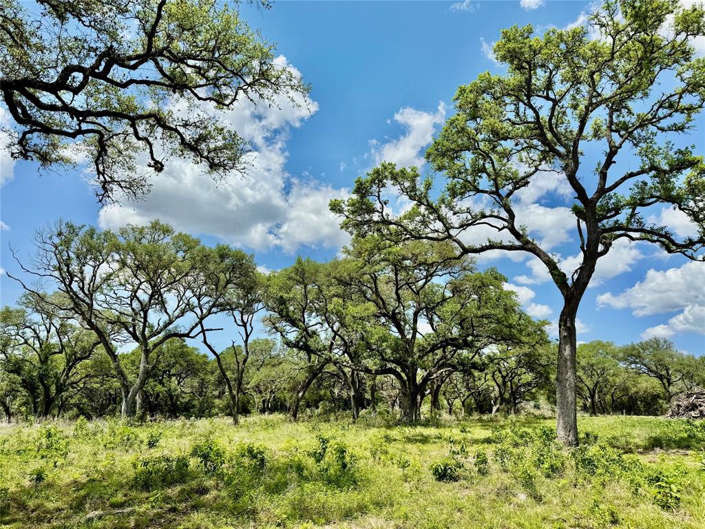 33.619 Acres Private Road 4007, Yoakum, Texas image 26