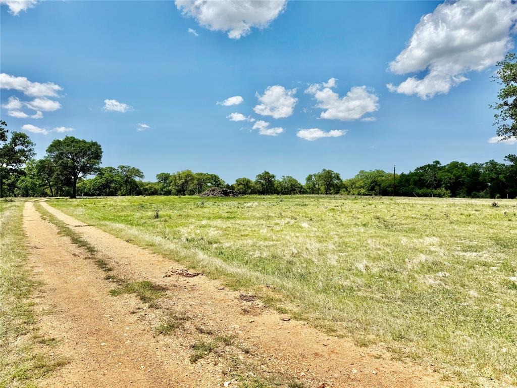 33.619 Acres Private Road 4007, Yoakum, Texas image 20