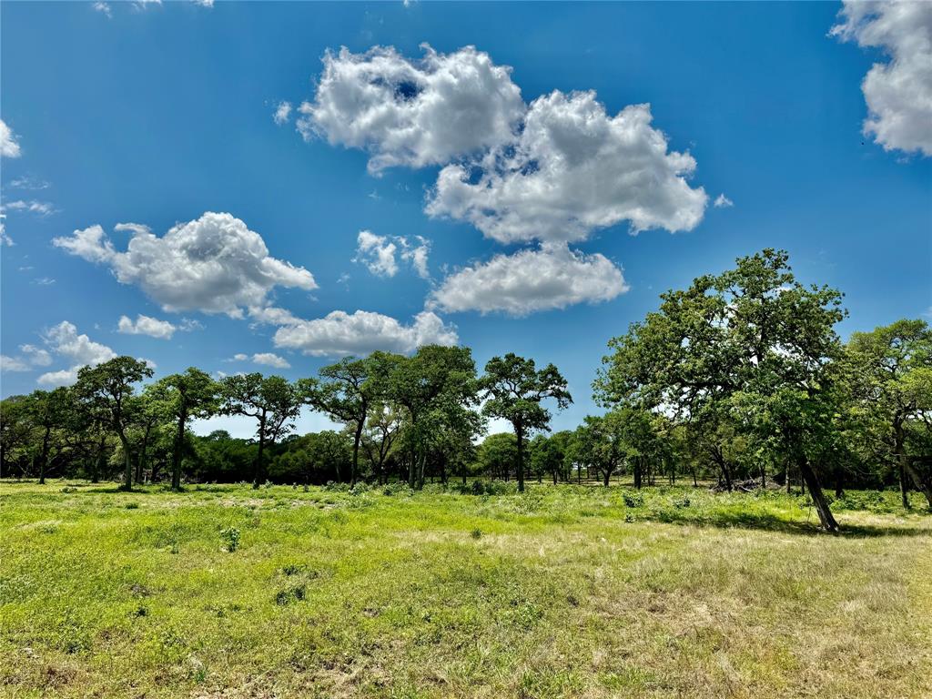 33.619 Acres Private Road 4007, Yoakum, Texas image 14