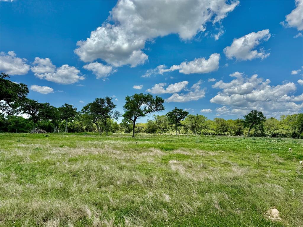 33.619 Acres Private Road 4007, Yoakum, Texas image 15