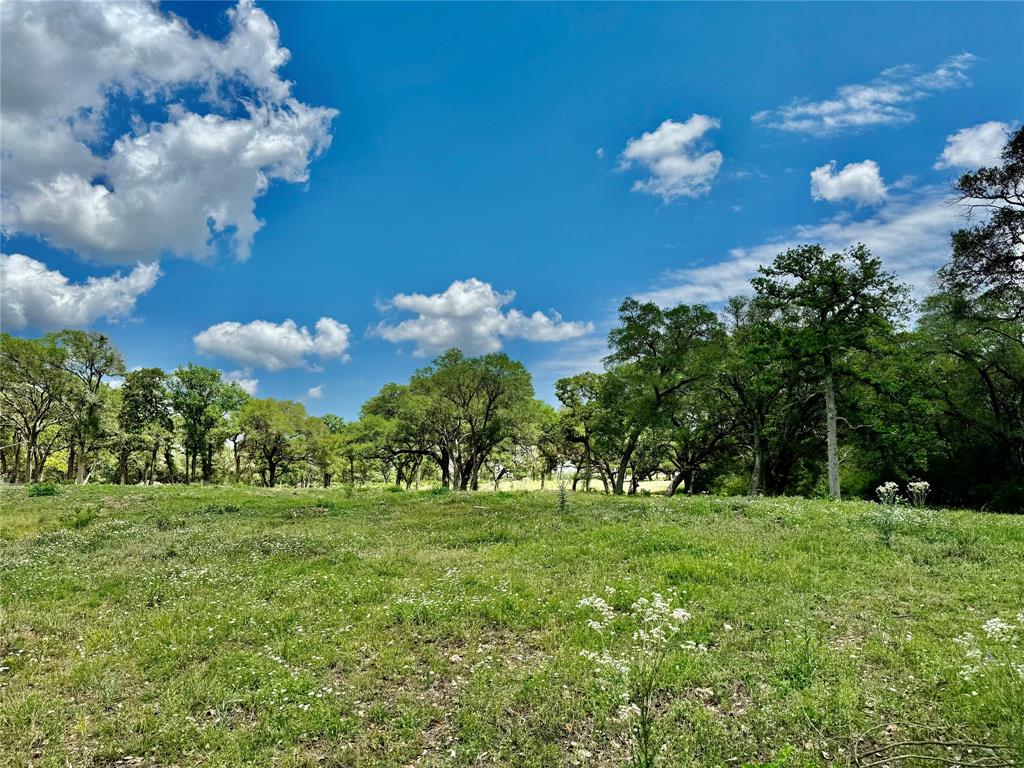 33.619 Acres Private Road 4007, Yoakum, Texas image 27