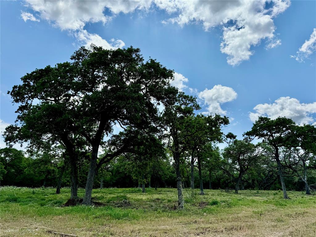 33.619 Acres Private Road 4007, Yoakum, Texas image 9
