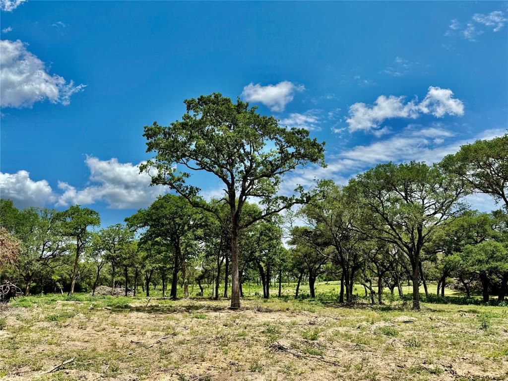 33.619 Acres Private Road 4007, Yoakum, Texas image 25