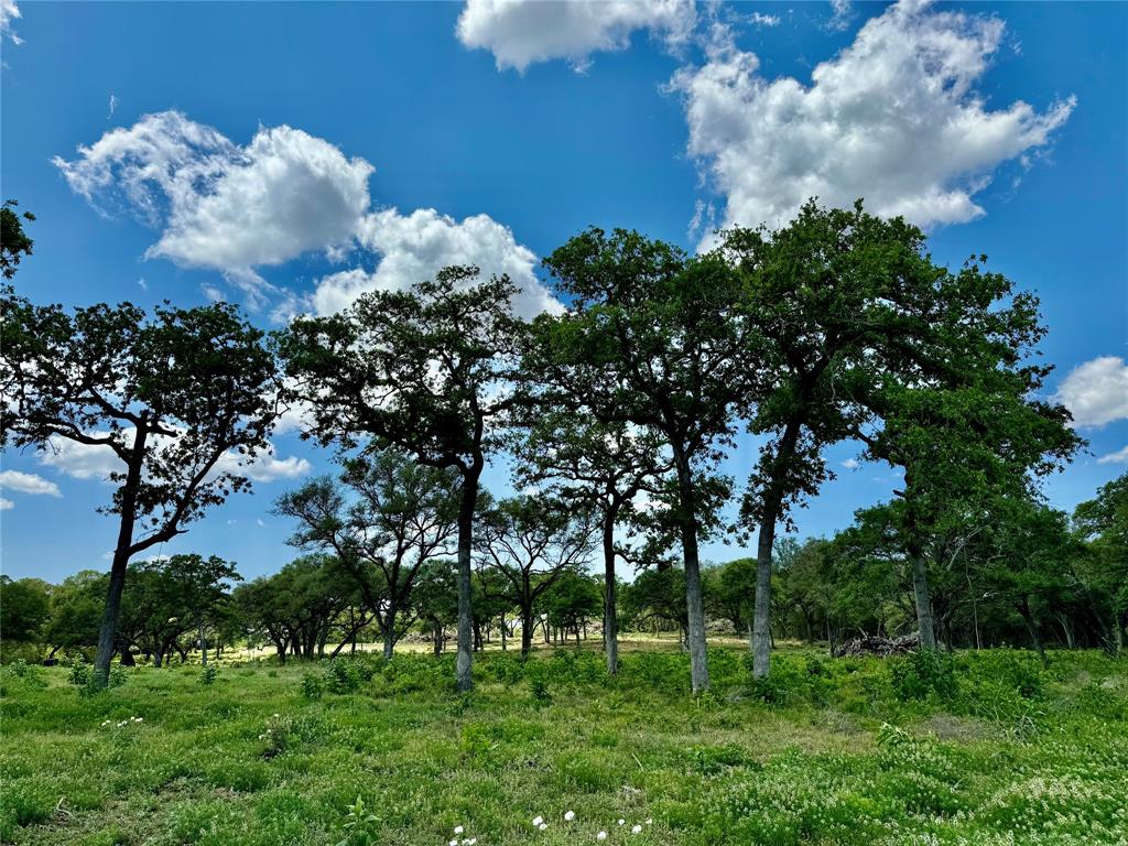 33.619 Acres Private Road 4007, Yoakum, Texas image 10