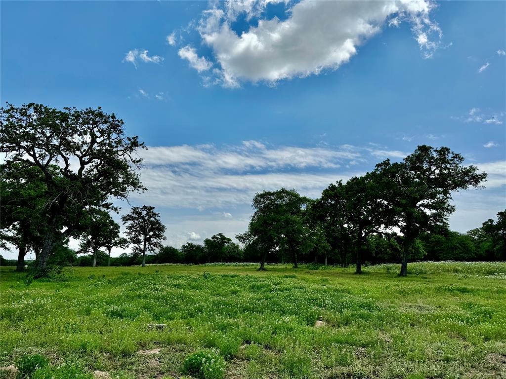 33.619 Acres Private Road 4007, Yoakum, Texas image 11