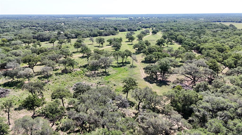 33.619 Acres Private Road 4007, Yoakum, Texas image 30