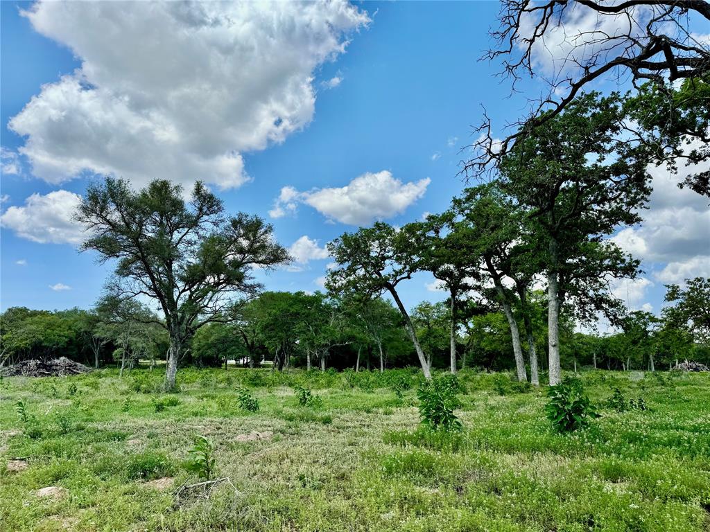 33.619 Acres Private Road 4007, Yoakum, Texas image 7