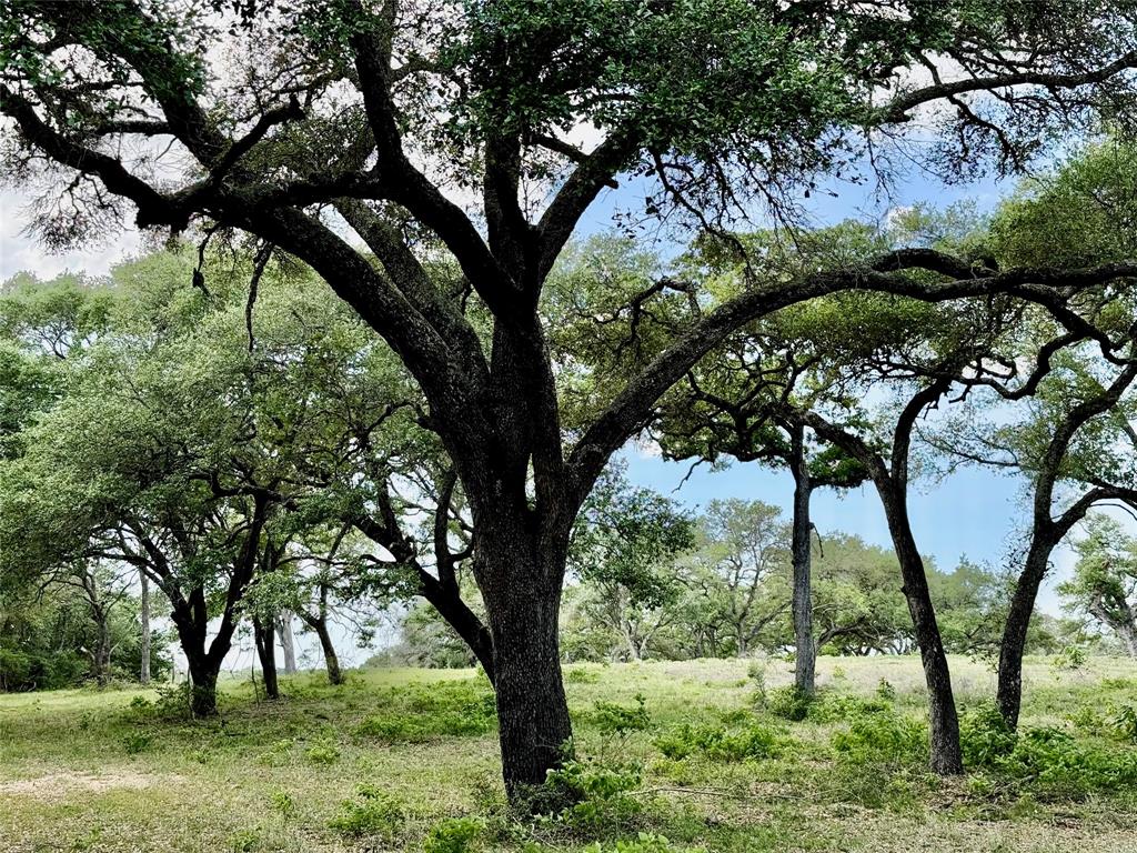 33.619 Acres Private Road 4007, Yoakum, Texas image 3