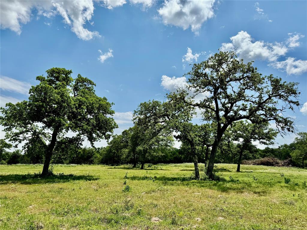 33.619 Acres Private Road 4007, Yoakum, Texas image 12