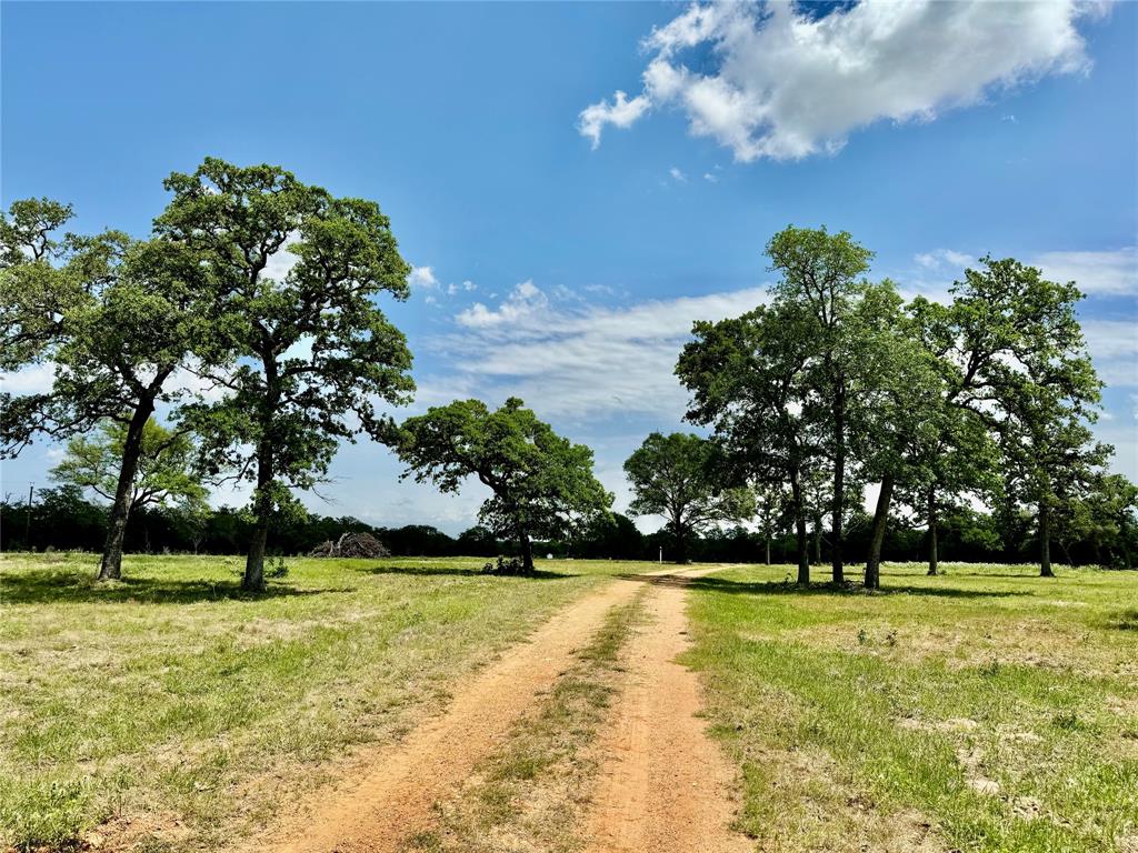 33.619 Acres Private Road 4007, Yoakum, Texas image 1