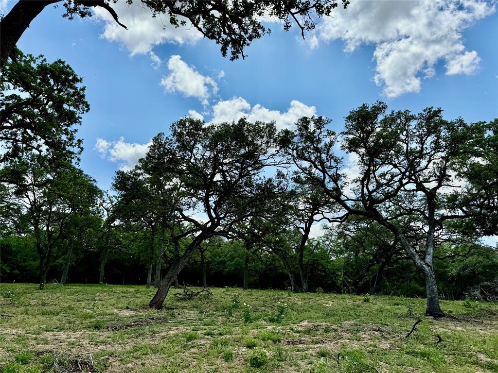 33.619 Acres Private Road 4007, Yoakum, Texas image 8